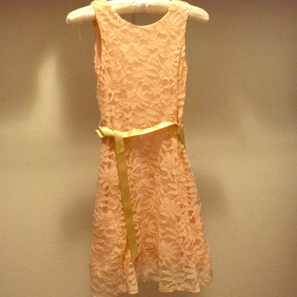 Pink Lace Dress new with tags
